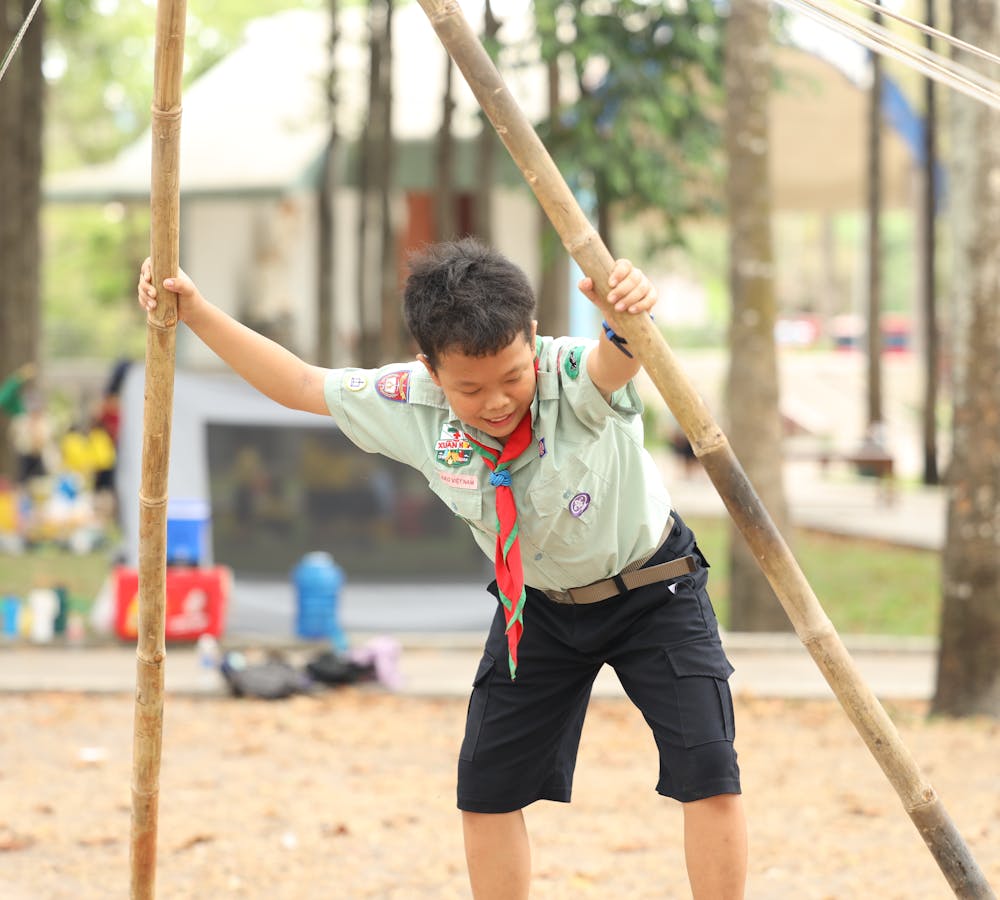 pexels-photo-32021411