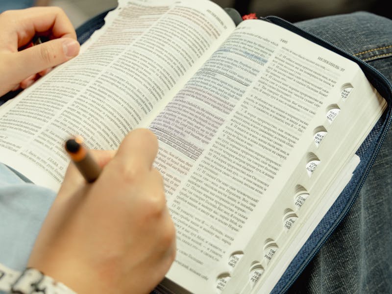 pexels-photo-33204560-1