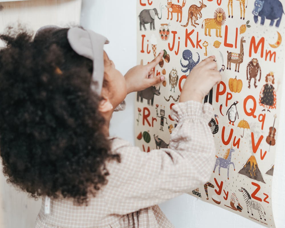 pexels-photo-3662801-1