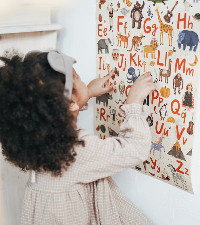 pexels-photo-3662801-2